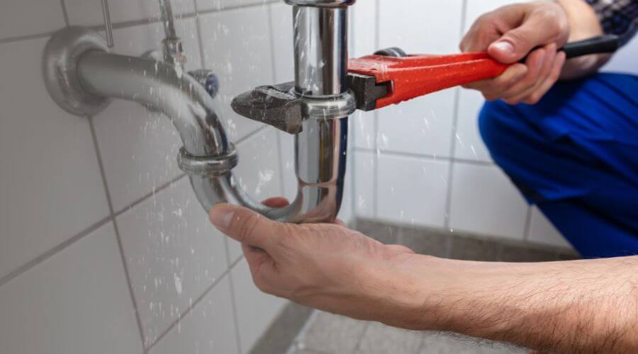 Leak Detection Services in Good Thunder, MN